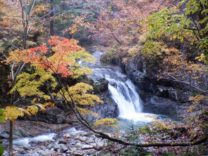 錦秋の御神楽岳