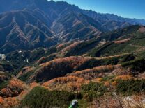 二子山中央稜クライミング（会員山行）